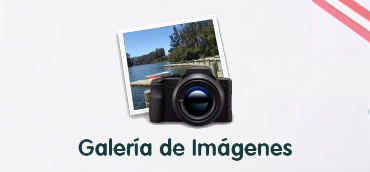 Galeria de Fotos